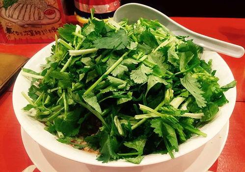 日本人香菜,独特风味，融合传统与创新