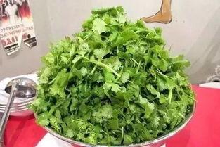日本人香菜,独特风味，融合传统与创新