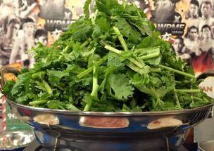 日本人香菜,独特风味，融合传统与创新