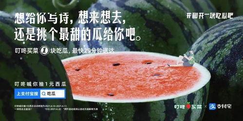 今日吃瓜文案怎么写啊,娱乐圈幕后故事一网打尽