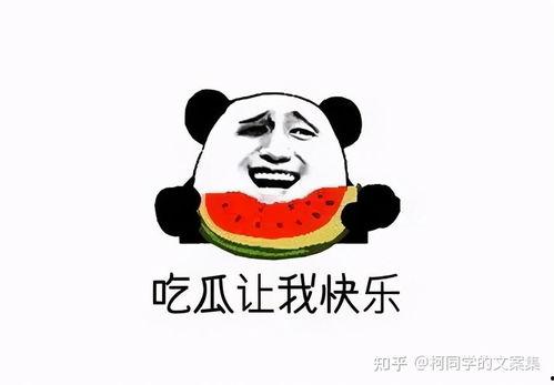 今日吃瓜文案怎么写啊,娱乐圈幕后故事一网打尽