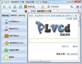 flv 视频,揭秘其制作与观看技巧