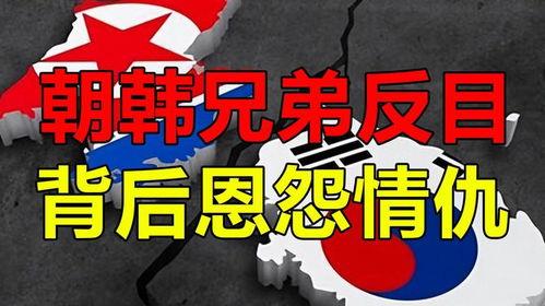 韩国对血脉,探寻家族根脉与文化底蕴