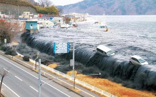 日本海啸损失,回顾与反思