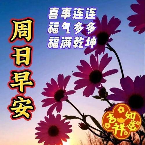 周末祝福图片大全,温馨瞬间，美好时光