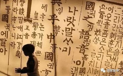 韩国对中国文化,韩国视角下的中国文化交融与影响