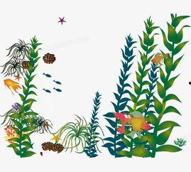 海底植物图片大全,探索神秘海洋生态画卷