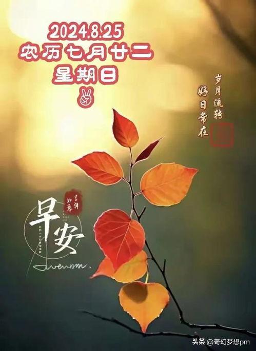 周日早安图片,温馨晨光，美好心情开启新篇章”