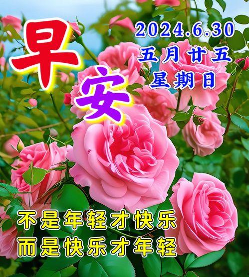 周日早安图片,温馨晨光，美好心情开启新篇章”