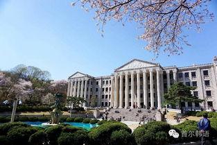 韩国名校,卓越教育成就未来精英