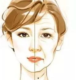 动画 皱纹国语