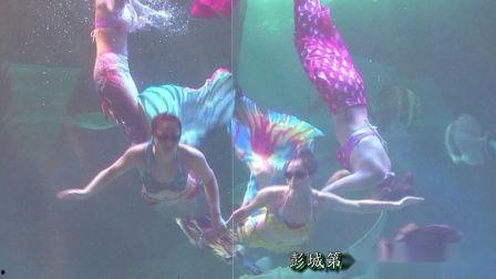 美人鱼国语,梦幻海洋的传奇之旅