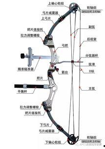 复合弓视频,视频揭秘传统弓箭的现代化演变