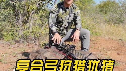 复合弓视频,视频揭秘传统弓箭的现代化演变