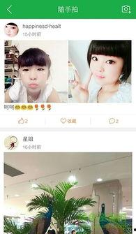 迷情家教韩国手机在线,韩国手机在线，浪漫邂逅的甜蜜序章