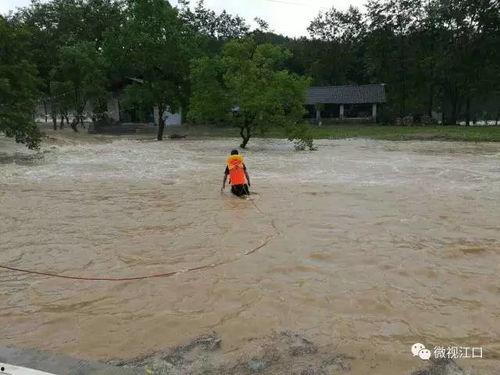 大洪水视频,史诗般的灾难与人类抗争