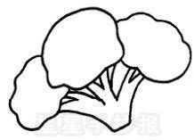 西兰花简笔画图片大全,描绘清新自然的蔬菜之美
