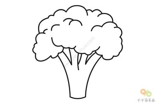 西兰花简笔画图片大全,描绘清新自然的蔬菜之美