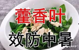 今日入伏吃三瓜三肉,三瓜三肉，夏季健康饮食指南