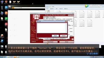 电脑病毒视频,跟随视频探寻恶意软件的传播与防护之道
