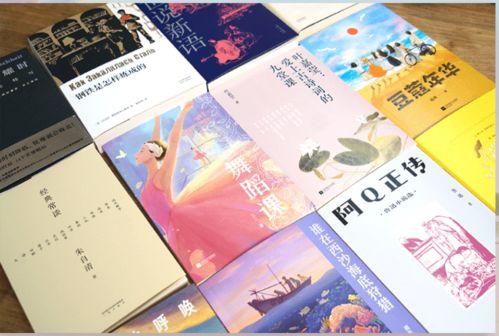 少年心 国语,青春岁月的纯真与梦想