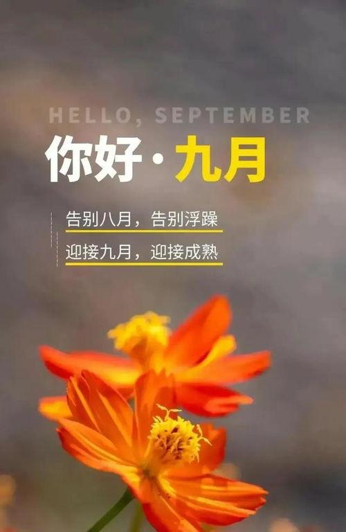 再见九月到图片大全,再见九月图片大全回顾