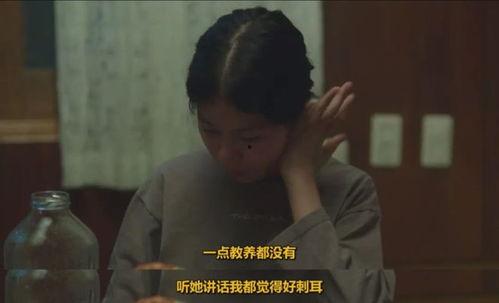邹韩国电影,跨越国界的电影魅力