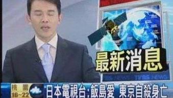 日本的范导爱,日本文化中的爱与引导之美