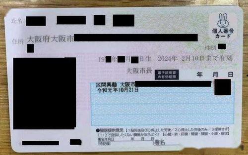 日本番号推荐表,探寻日本动漫文化中的数字密码