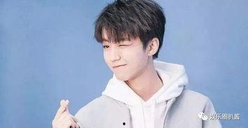 王俊凯韩国,跨越国界，闪耀东方魅力