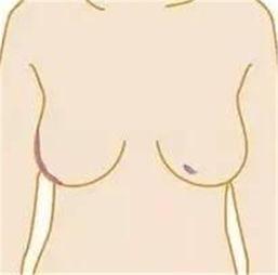 女人奶头图案大全图片,一幅幅艺术与文化的交融画卷