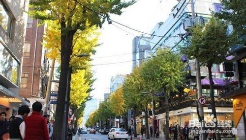 韩国 新沙,揭秘神秘岛屿的诞生与未来