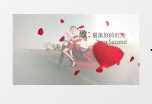 浪漫表白视频,爱在瞬间绽放