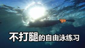 自由泳换气视频,自由泳高效换气技巧解析