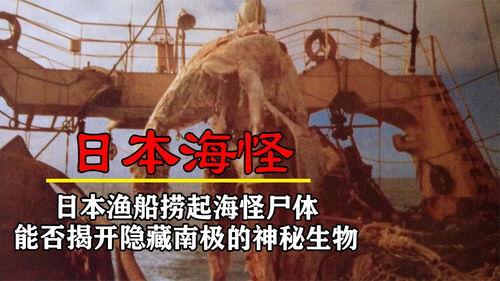 日本南神,神秘传说与古老文化的交融之地