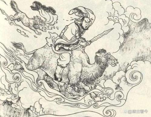 花狐貂图片,神秘斑斓的森林精灵