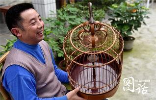 花鸟笼日本电影,穿越时空的羁绊与救赎