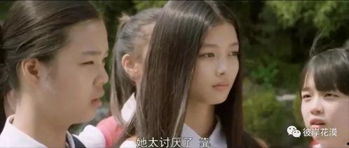 韩国电影优雅的谎言,揭开韩国情感纠葛的神秘面纱