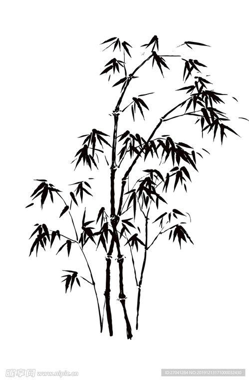 竹子的图片大全大图,竹子图片大全大图赏析