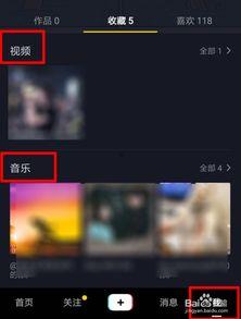 收藏的视频,探寻背后的精彩故事