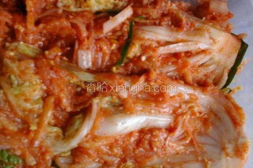 韩国泡菜做法视频,传统风味在家轻松实现