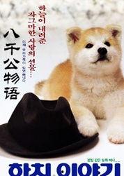 日本八公犬的故事,忠诚与生命的永恒守候