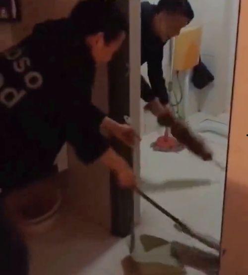 打老鼠视频,高效打老鼠技巧大公开