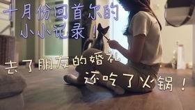 韩国休假日,传统与现代融合的休闲时光