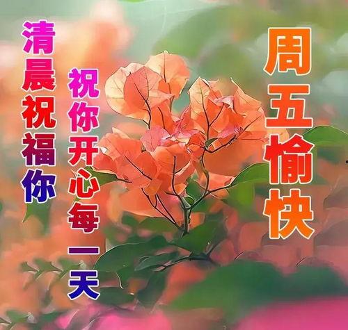 周五快乐的图片大全,趣味图片大盘点