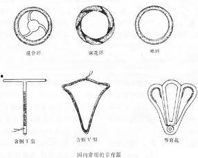 节育环有哪些种类图片,全面了解不同类型避孕环