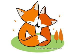 画狐狸的图片大全大图,灵动的毛茸茸精灵