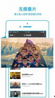 电影夜惑在线观看,都市迷影下的情感漩涡