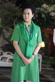 王丽云图片,镜头下的魅力瞬间