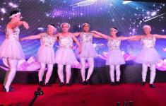 搞笑天鹅舞视频,萌态百出，笑料横生！